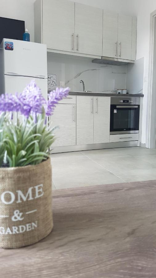 Erika Boutique Apartments Nikiti  Eksteriør billede